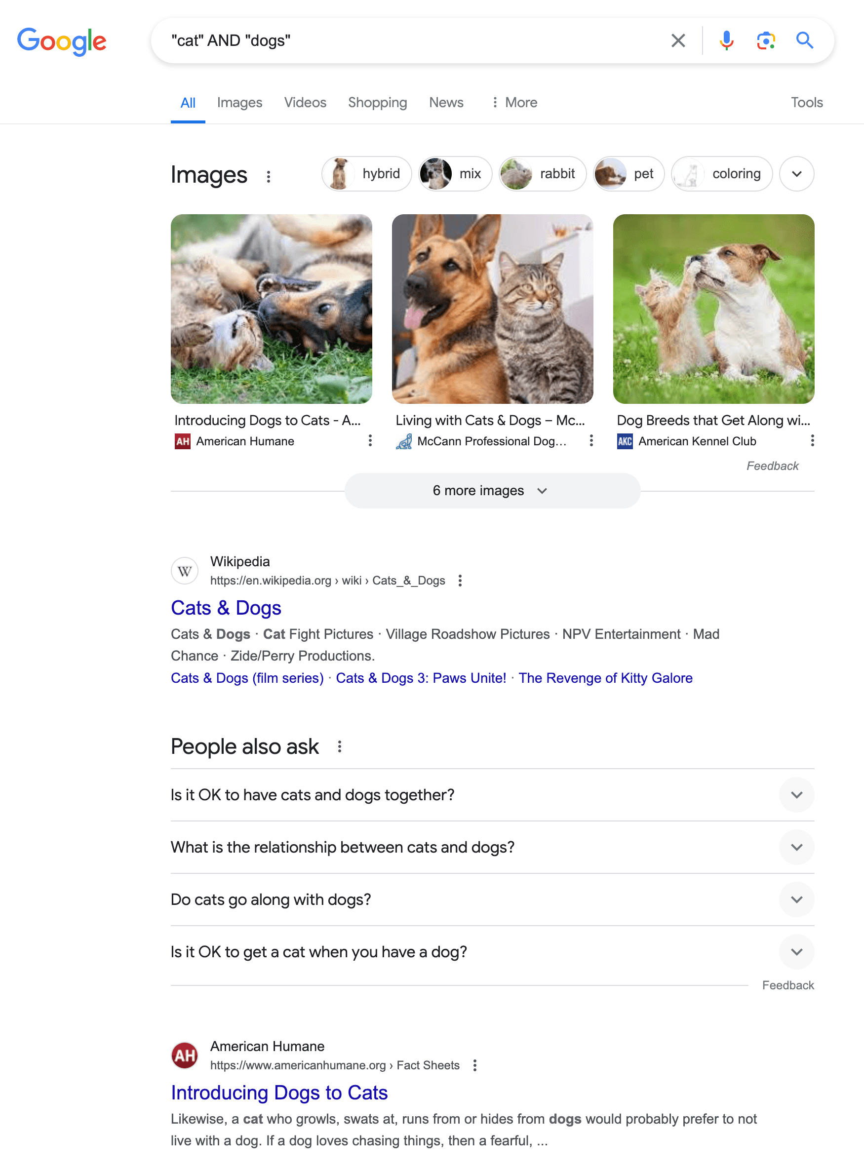 Screenshot eines Google-Suchergebnisses für „Katze UND Hunde“