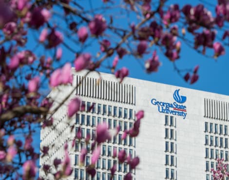 Universidade do Estado da Geórgia